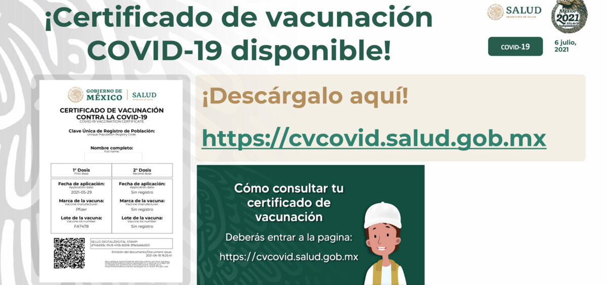 Certificado de vacunación COVID: Así puedes obtenerlo | QUE LA VACUNA NOS  UNA